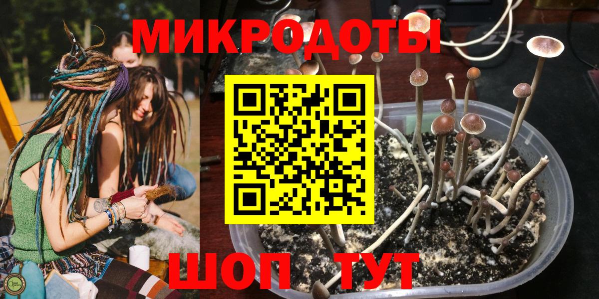 Янаул  Галлюциногенные грибы Psilocybe  Псилоцибиновые грибы MAGIC MUSHROOMS  Вход с VPN 